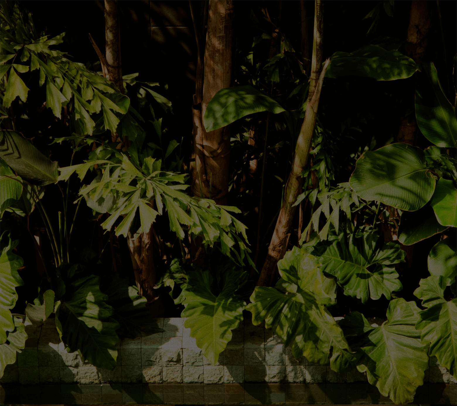 Garden landscape